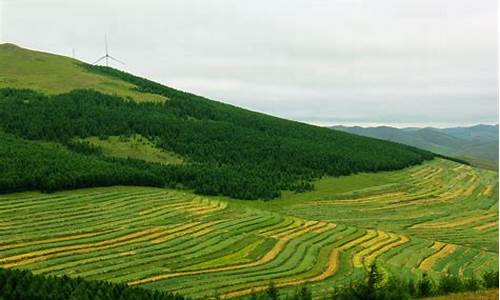 草原天路自驾游攻略地图大全_草原天路自驾游攻略地图大全