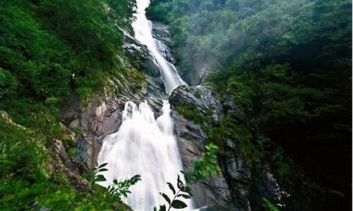 天目山风景区旅游攻略_天目山风景区旅游攻略一日游