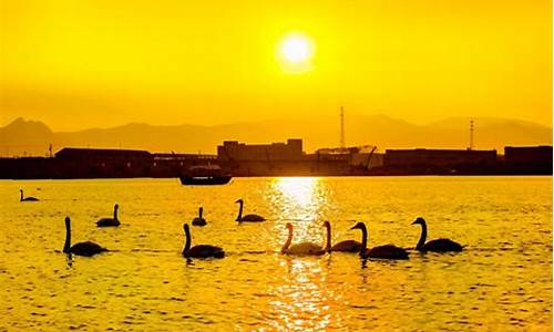 东营一日游景点大全_东营一日游必去的四大景点