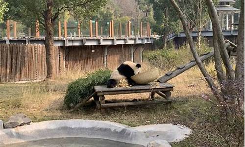 长沙生态动物园门票预订_长沙生态动物园