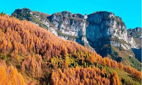 秋季重庆哪里好玩的景点_重庆秋季旅游攻略