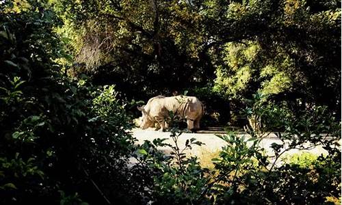 重庆路到动植物公园_重庆路到动植物公园怎么走