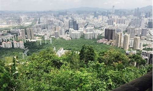 深圳大南山公园植被介绍_深圳大南山公园植被介绍图