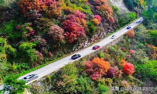 翠华山旅游攻略一日游门票多少钱_翠华山旅游攻略一日游门票多少钱啊